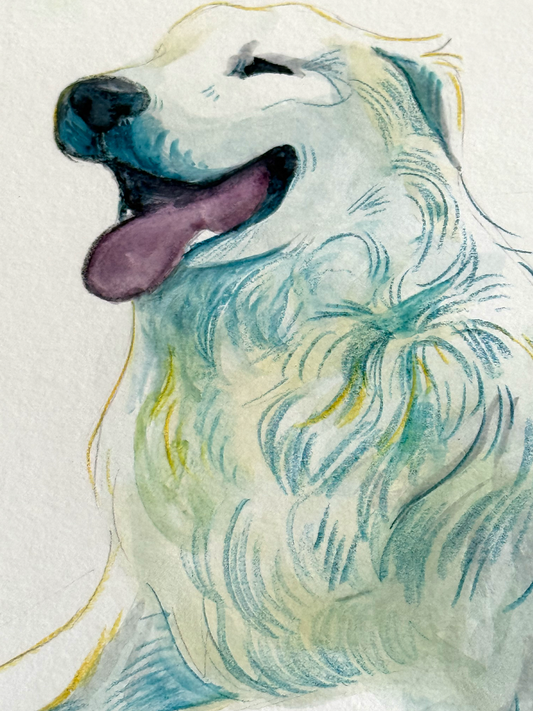 Akbashful (A4)