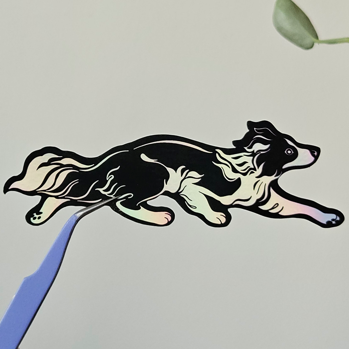 Border Collie Sticker