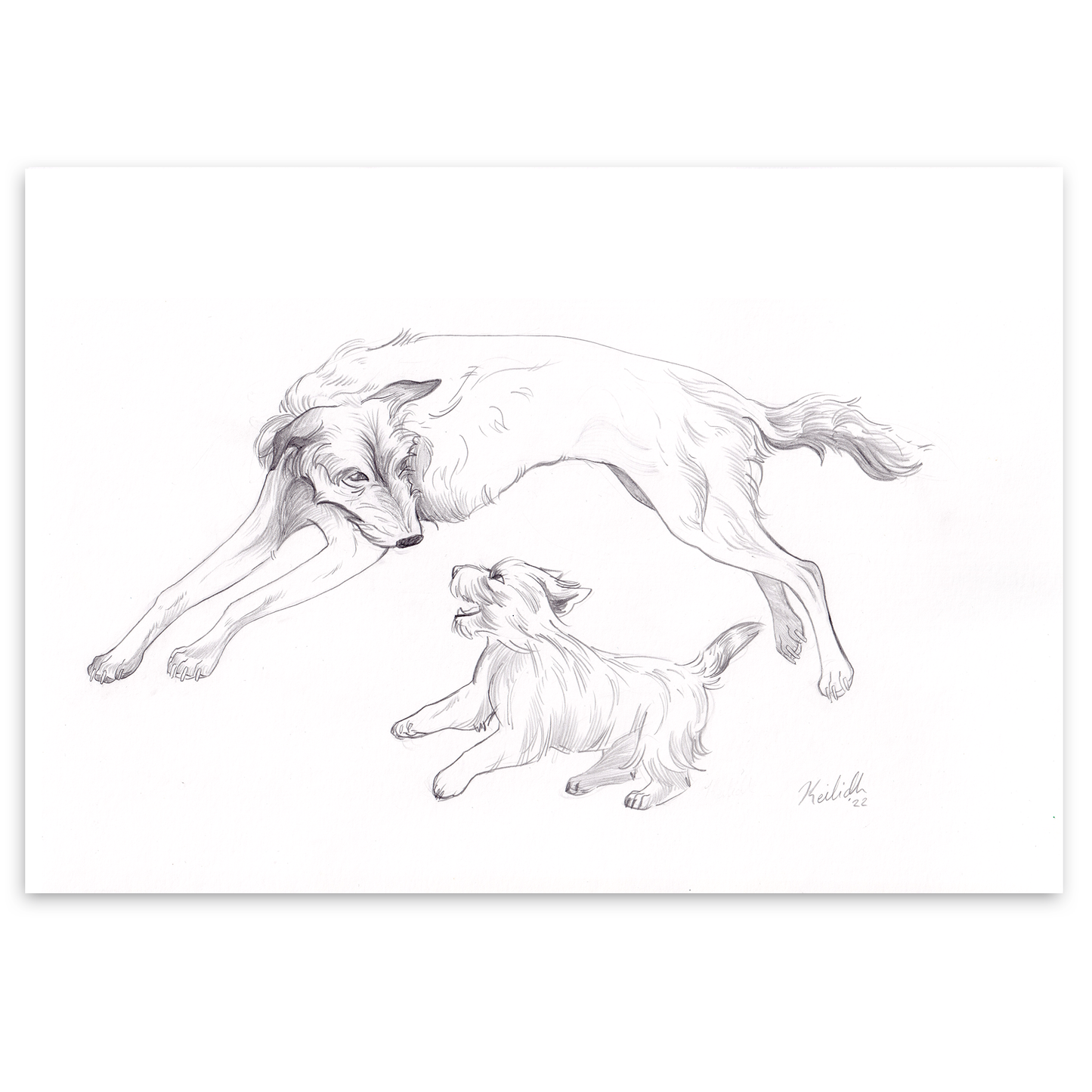 Little and Large (A4)