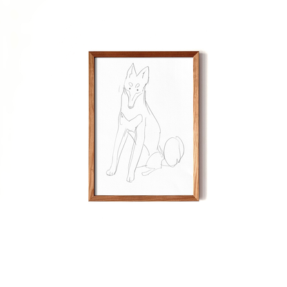 Sitting Klee Kai