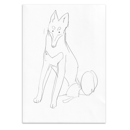 Sitting Klee Kai