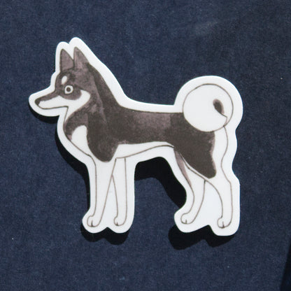 Alaskan Klee Kai Sticker