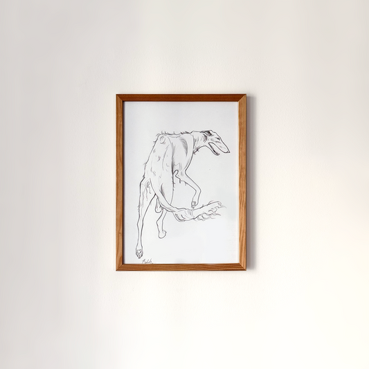 Borzoi (A4)