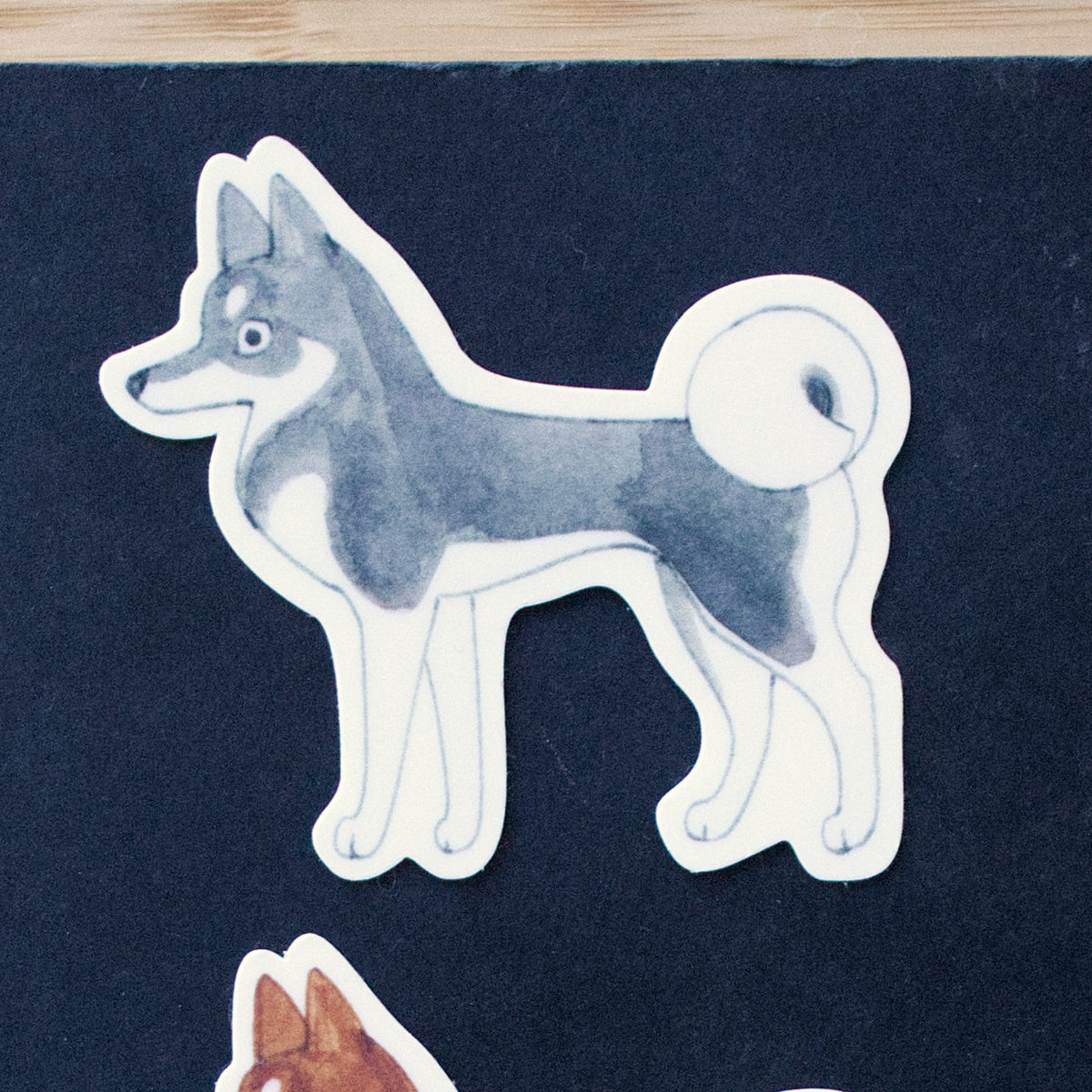 Alaskan Klee Kai Sticker