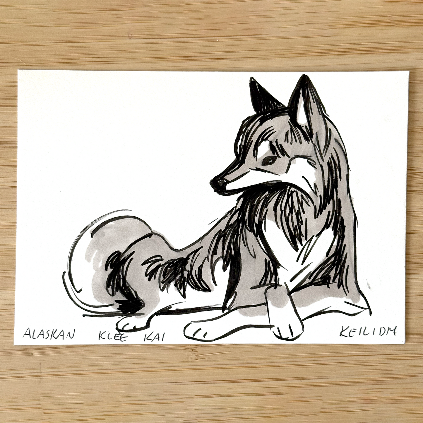 Sketch Sale (A6)