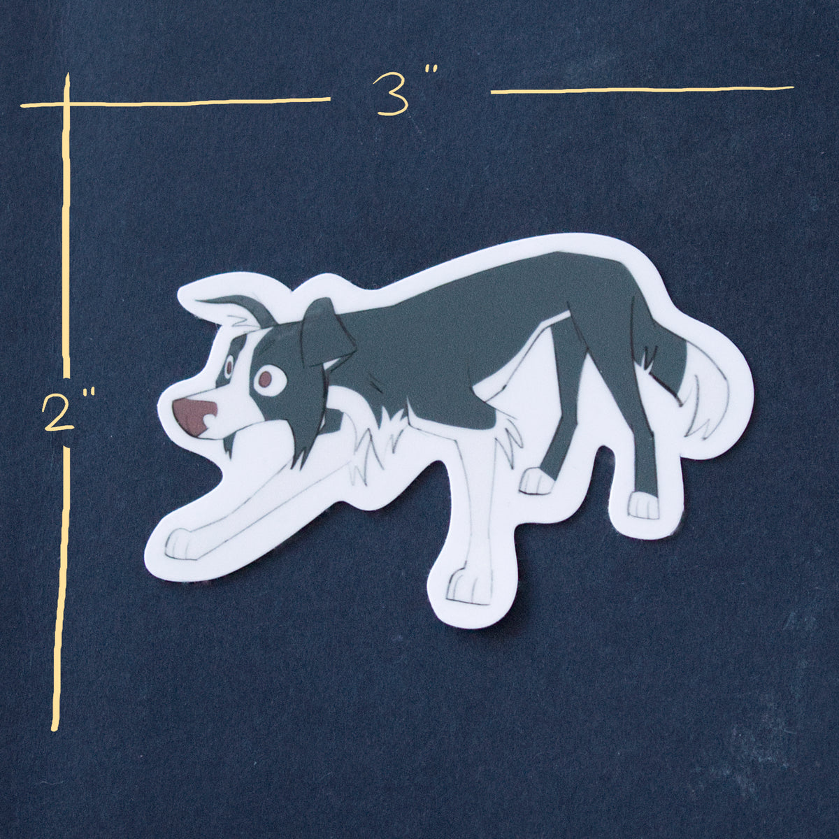 Working Border Collie Sticker