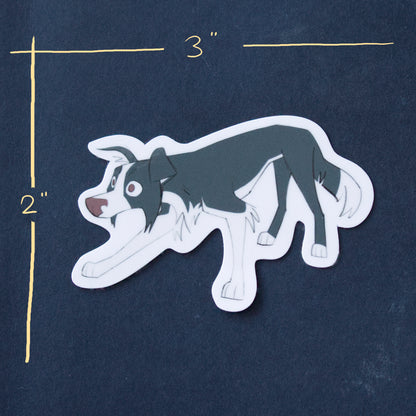 Working Border Collie Sticker