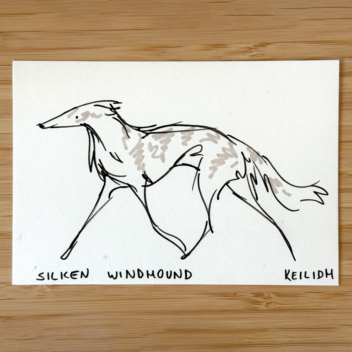 Sketch Sale (A6)